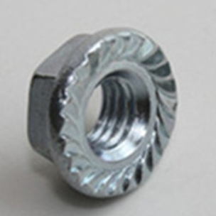 Đai ốc mặt bích Hex Nut